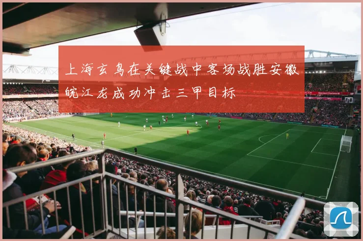 上海玄鸟在关键战中客场战胜安徽皖江龙成功冲击三甲目标