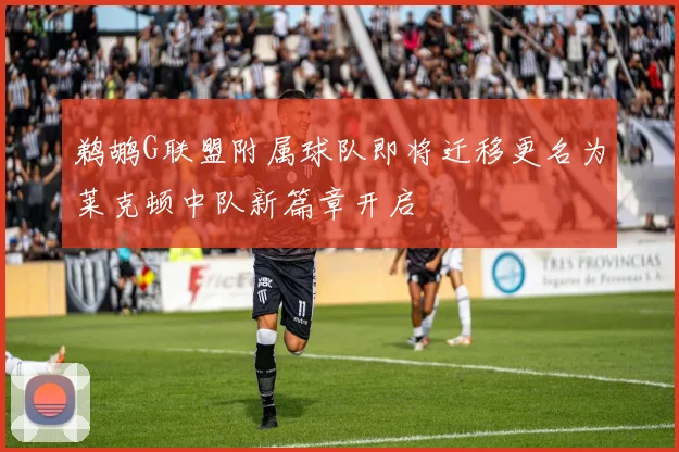 鹈鹕G联盟附属球队即将迁移更名为莱克顿中队新篇章开启