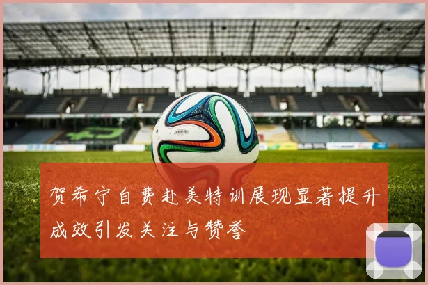 贺希宁自费赴美特训展现显著提升成效引发关注与赞誉