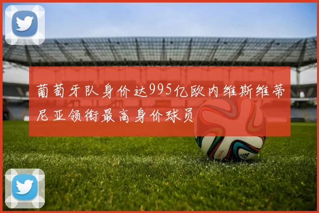 葡萄牙队身价达995亿欧内维斯维蒂尼亚领衔最高身价球员