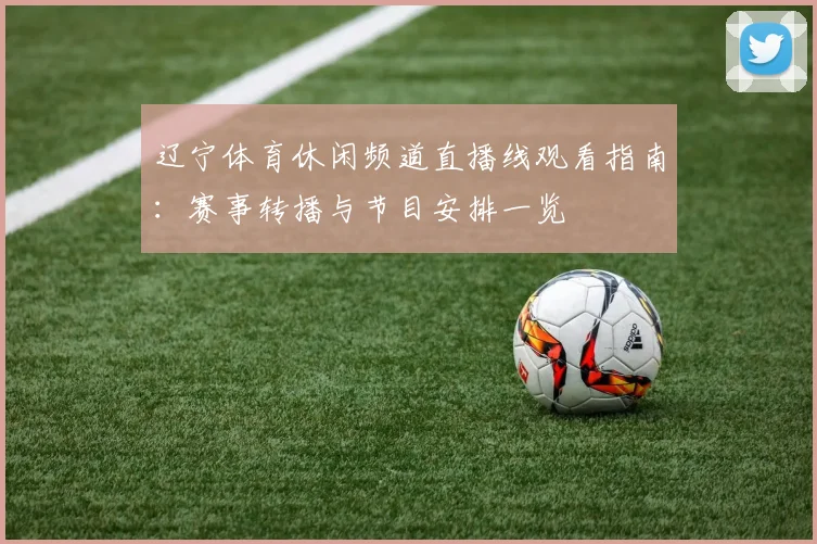 辽宁体育休闲频道直播线观看指南：赛事转播与节目安排一览