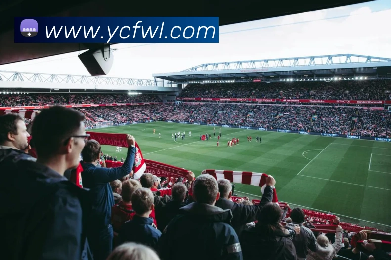 辅助工具